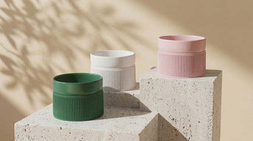 Ceramic Pet Bowl