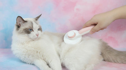 Self-Cleaning Pet Grooming Brush