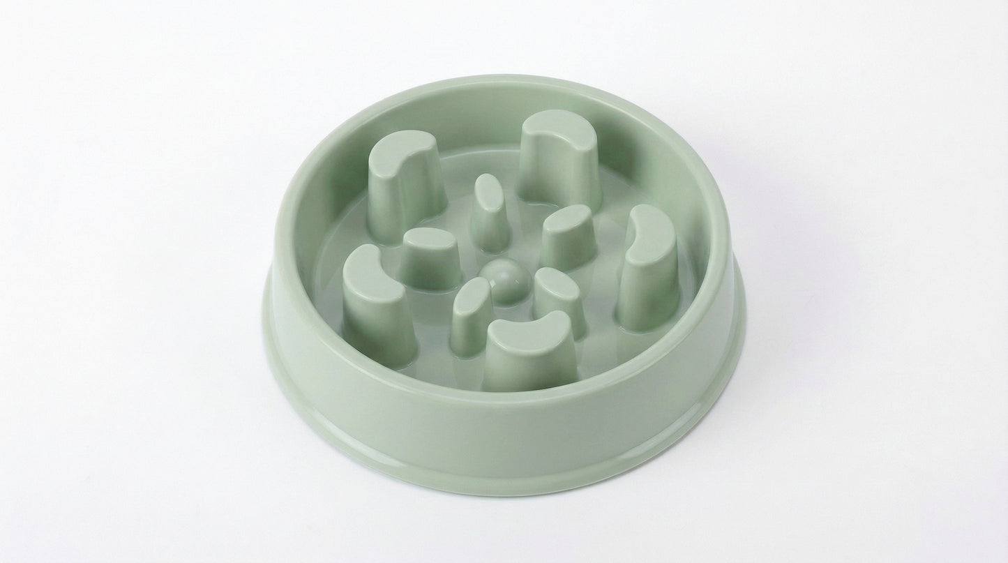 Slow Feeder Dog Bowl